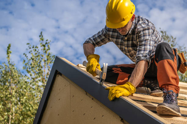 Best Skylight Installation and Repair  in Johnsburg, IL